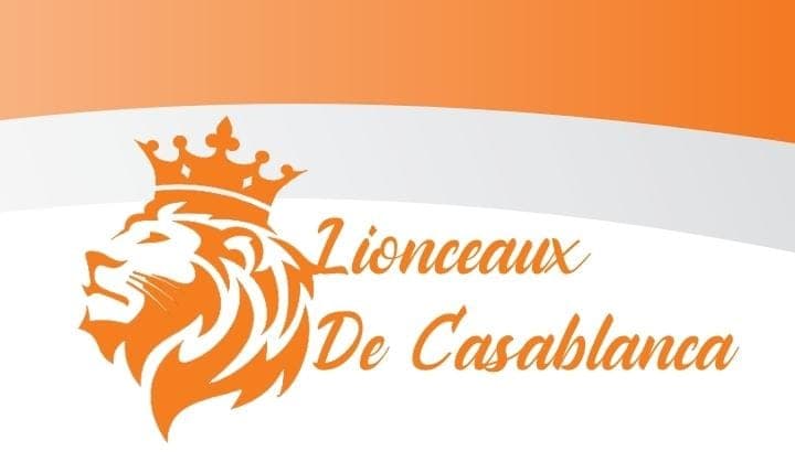 Partner logo